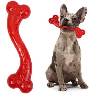 Dog Chews & Toys