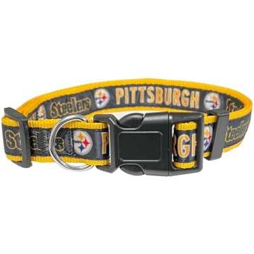 Sports/Team Accessories