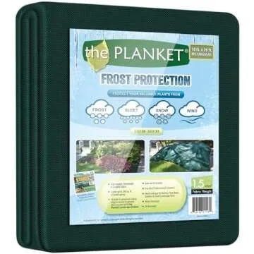 House Plants for any home