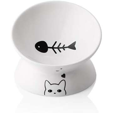 Cat bowls 😻