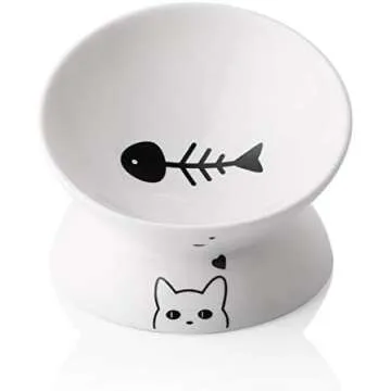 Cat bowls 😻