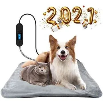 Everything Cat Unsorted