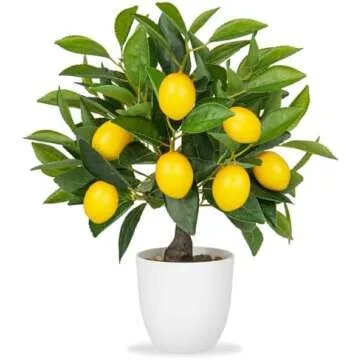 Limoncello Bridal Shower 🍋