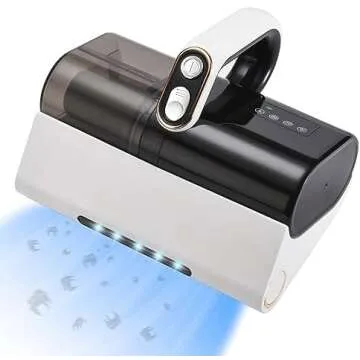 Spring Cleaning and Organizing