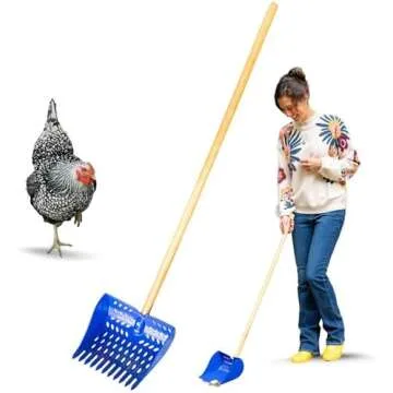 Backyard Chicken Keeping