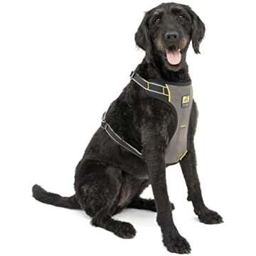 Essentials For Car Travel