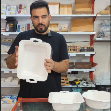 ظروف سرامیکی