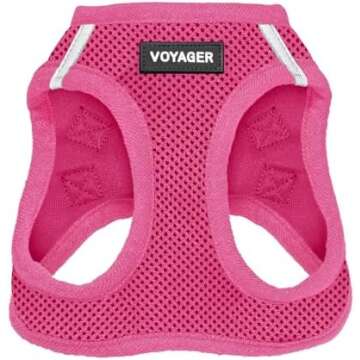 Collars, Harnesses, and Leashes: Doodle Doods Recommended Items