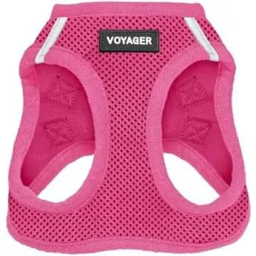 Collars, Harnesses, and Leashes: Doodle Doods Recommended Items