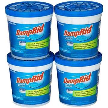 Move In Move Out Cleaning