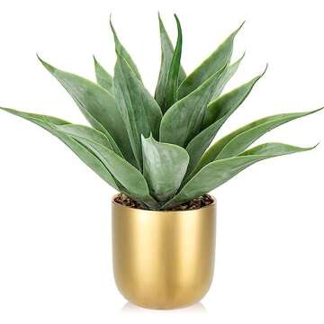 Transform Your Entry Way