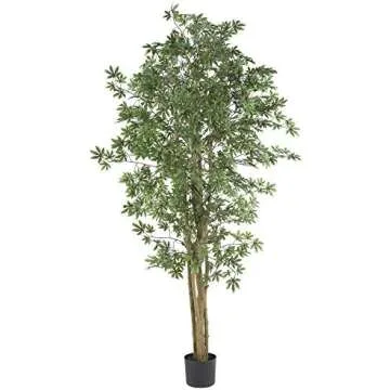 Women’s gift guide