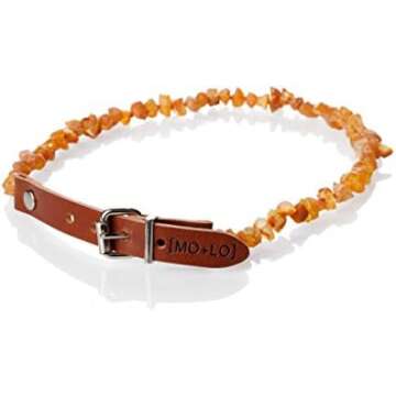 Natural Flea, Tick, & Heartworm Prevention