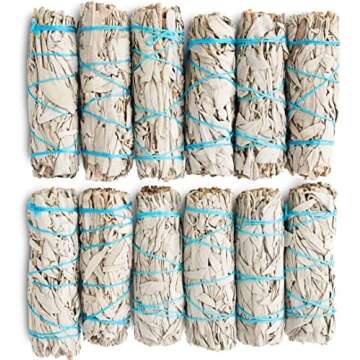 Law of Attraction Essentials