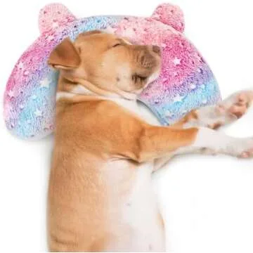 All Dog Things Items