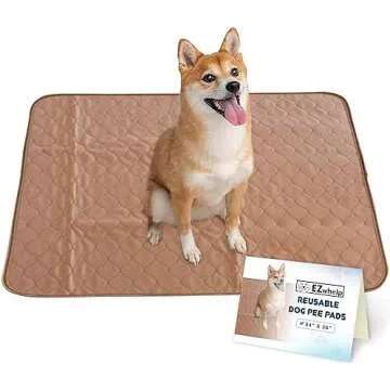 Urine & Fecal Incontinence Products