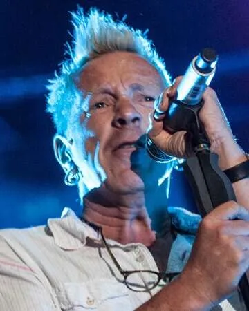 Johnny Rotten Sentenced: A Punk Rock Controversy