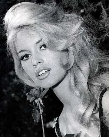 Brigitte Bardot's Glamorous 1966 Wedding to Gunter Sachs