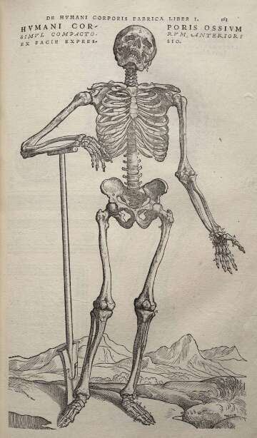 The Impact of Vesalius' 'De Humani Corporis Fabrica'