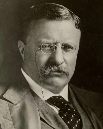 Theodore Roosevelt's 'Speak Softly and Carry a Big Stick' Address