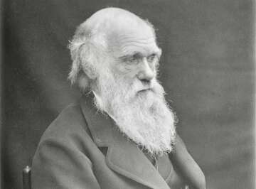 The Departure of HMS Beagle and Charles Darwin's Groundbreaking Voyage