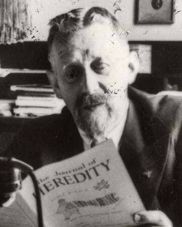 The Legacy of Eugen Fischer: A Controversial Figure in Medical History