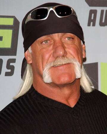 The Divorce of Hulk Hogan and Linda Bollea: A Notable Split
