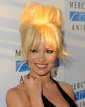 Pamela Anderson Lee's Hospitalization in 1995
