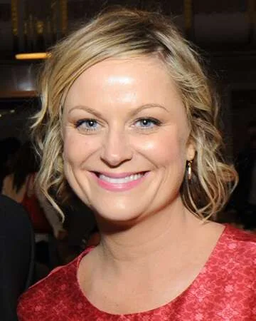 The End of an Era: Amy Poehler and Will Arnett's Divorce