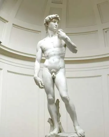 The Creation of Michelangelo's David