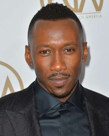 The 89th Academy Awards: A Night of Surprises