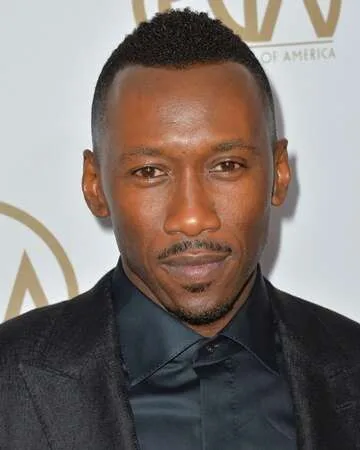 The 89th Academy Awards: A Night of Surprises