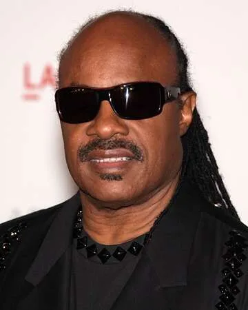 Stevie Wonder's 1992 Mayoral Bid: A Brief Look