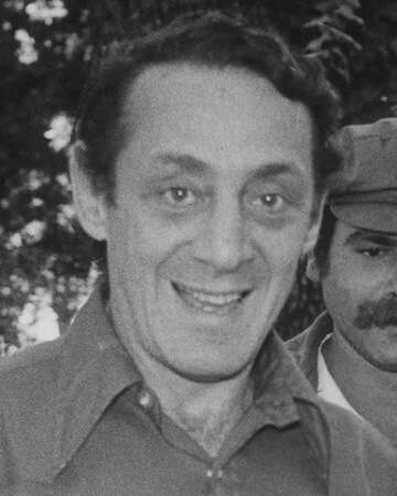 Harvey Milk Elected: A Milestone for LGBTQ+ Representation