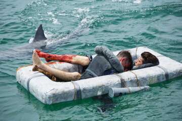 Rediscovery of the USS Indianapolis in 2017