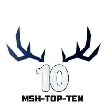 Top 10
