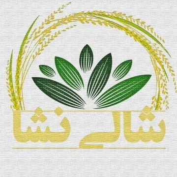 شالی نشا Profile