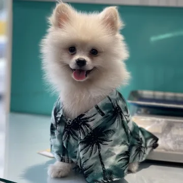 کافه رستوران مایلو