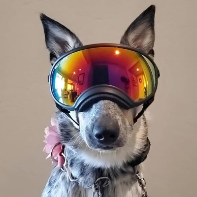 Zella and Company Profile