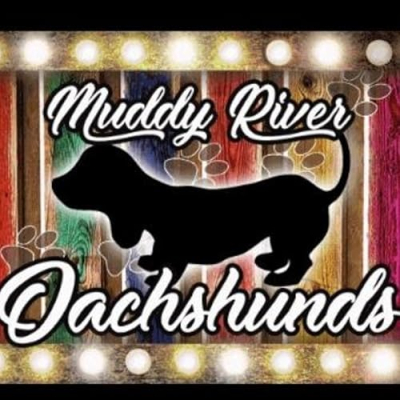 Muddyriverdachshunds Profile