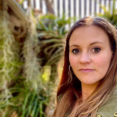 Honeybear Lane Profile