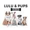 Lulu & Pups