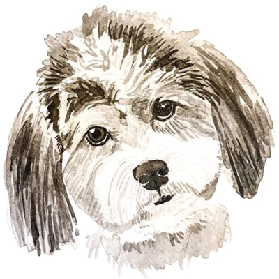 Shop That Doggy Chi Profile