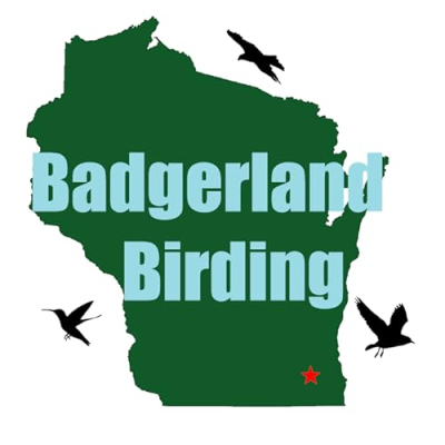 Badgerland Birding Profile