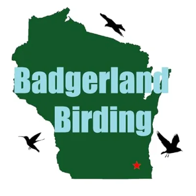 Badgerland Birding