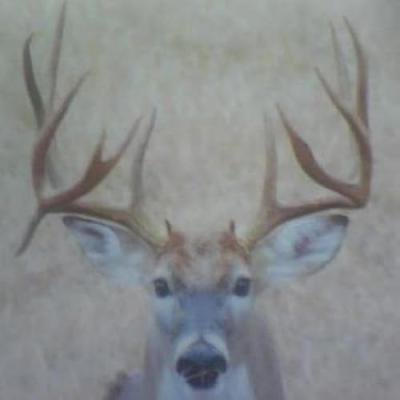 LeaseHunter.com Profile