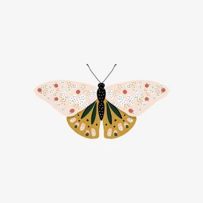 Piper Backholm Shop Page