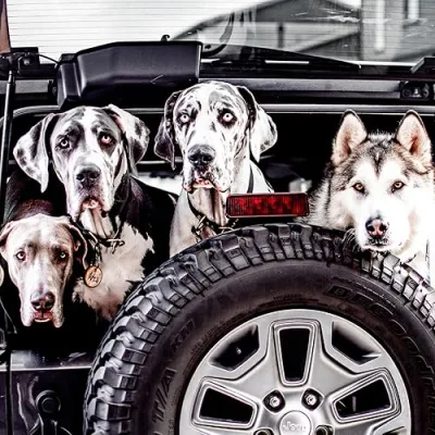 The Hull Pack’s Favorites