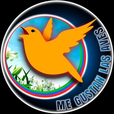 Me Gustan las Aves Profile