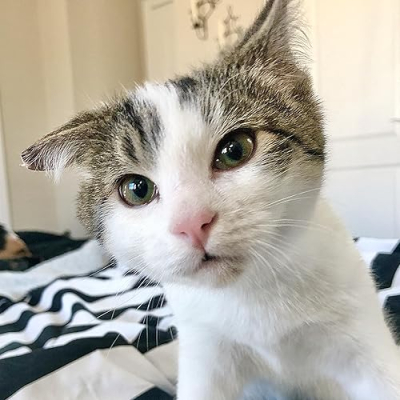 From Tiny Toasts to Toilets: Diddy & Family's Collection of Favorite & Must-Have Things Profile